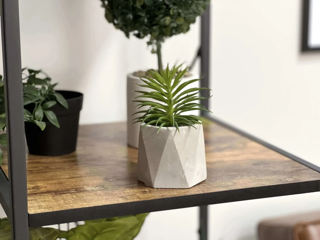 НАШІ ІНТЕР'ЄРИ